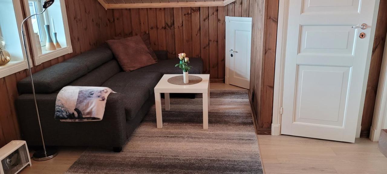 Wonderful Cabin With Amazing Mountain - View Lifjell Екстер'єр фото